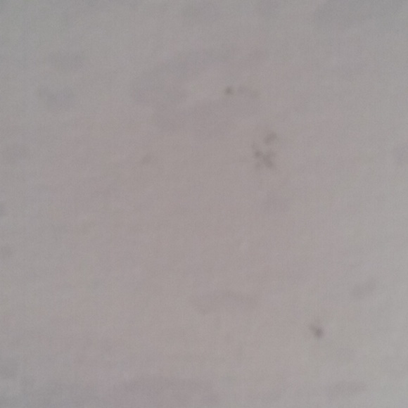 Disney Parks Minnie Mouse burnout baseball tee - Picture 4 of 4